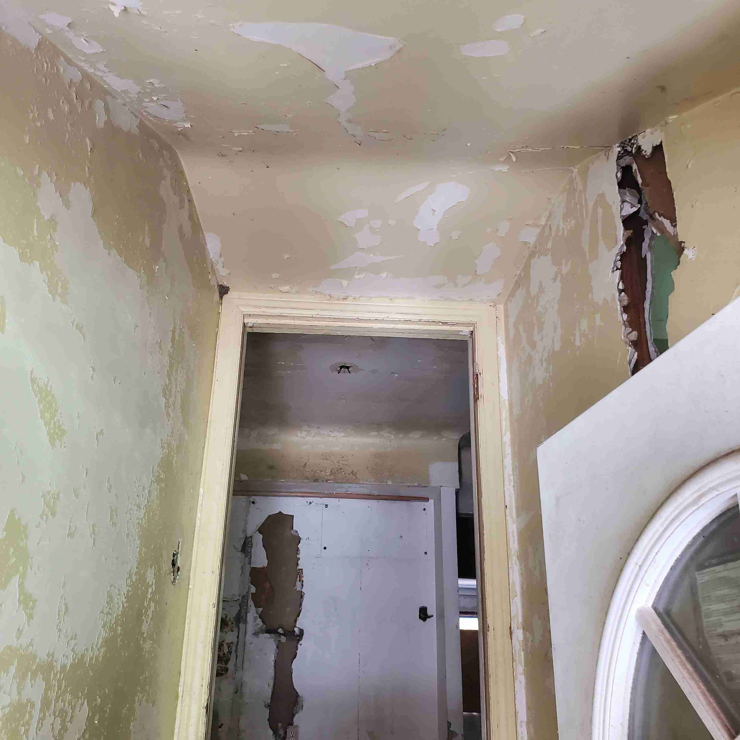 20200819_140203 (2).jpg